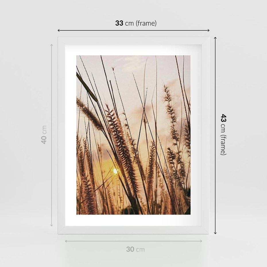 Plakat w ramie 30x40 - Malownicza Łąka z Trawam - trawy, łąka - rama biała