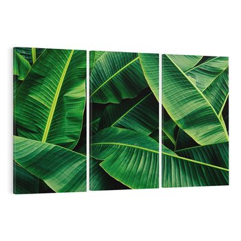 Obraz na płótnie 120x80 - Zaklęta roślinna ekspresja - liście bananowca, gęsto ułożone