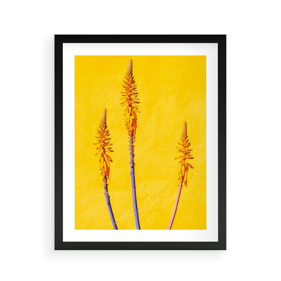 Plakat w ramie 40x50 - Radość Natury - kolor, kwiaty - rama czarna