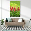 Obraz na płótnie 50x70 - Tulipanowy raj - kwiat, kwiaty