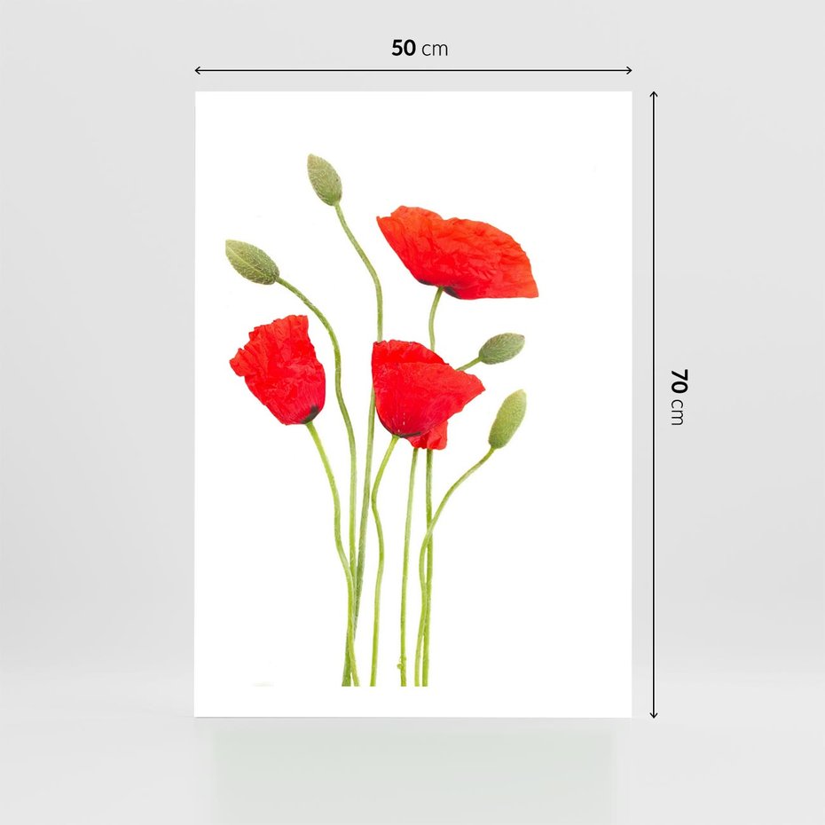 Plakat bez ramy 50x70 - Pola maków w pełnym kolorze - maki, kwiaty