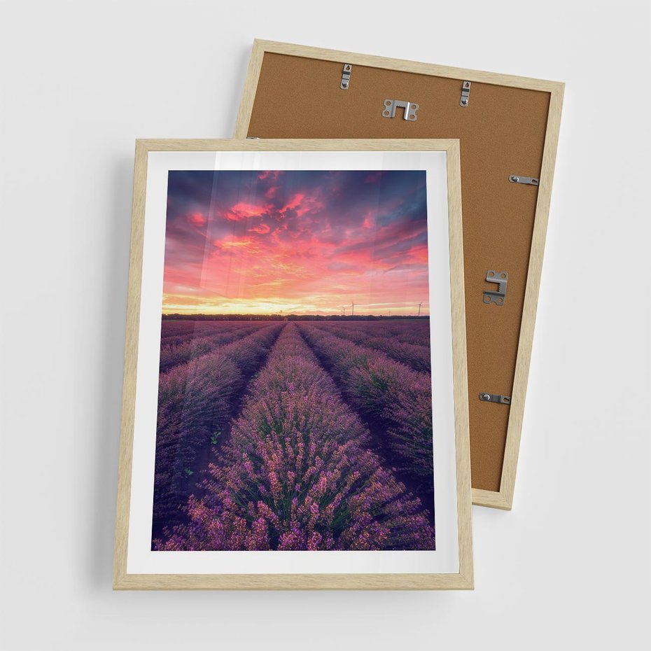 Plakat w ramie 50x70 - Różowe Niebo nad Polami - pola lawendy, zachód słońca - rama drewno