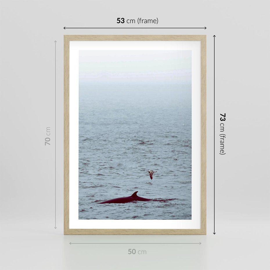 Plakat w ramie 50x70 - Spotkanie z Orką - morze, ocean - rama drewno