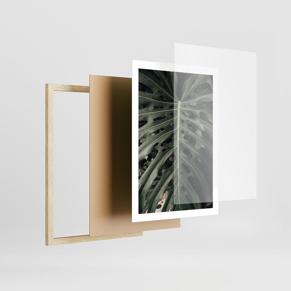 Plakat w ramie 50x70 - Majestatyczny Liść Monstery - liść monstery, majestatyczny liść - rama drewno