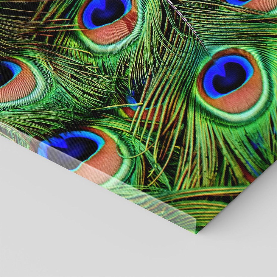 Obraz na płótnie 40x40 - Pawi Ogon - Piękno i Wspaniałość - paw, pióra