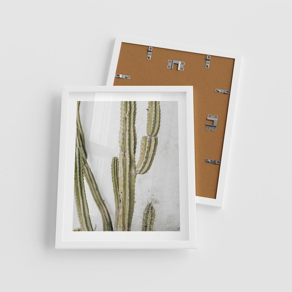 Plakat w ramie 40x50 - Kaktus w Stylu Boho - kaktus, roślina tropikalna - rama biała