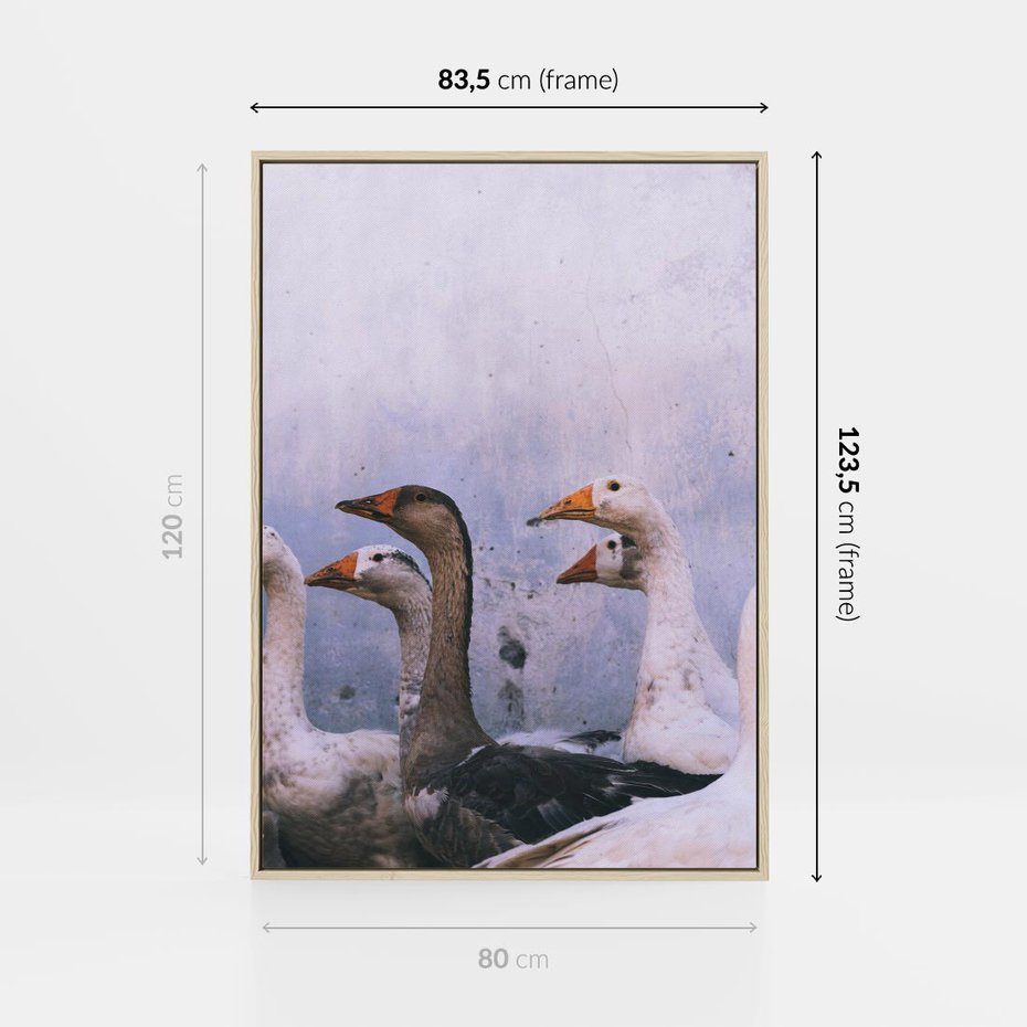 Obraz w ramie 80x120 - Spotkanie Wśród Piór - uchwycony moment, fotografia - rama drewno