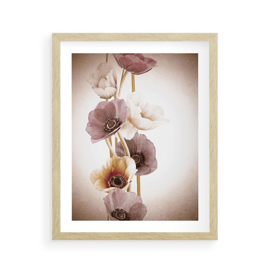 Plakat w ramie 40x50 - Eksplozja kolorów - akwarela, maki - rama drewno