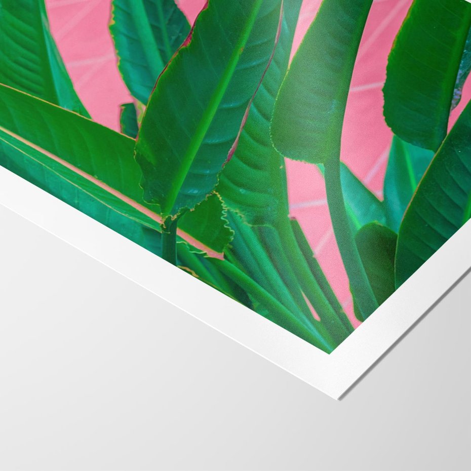 Plakat bez ramy 40x50 - Odezwij się do przeszłości - liście, retro