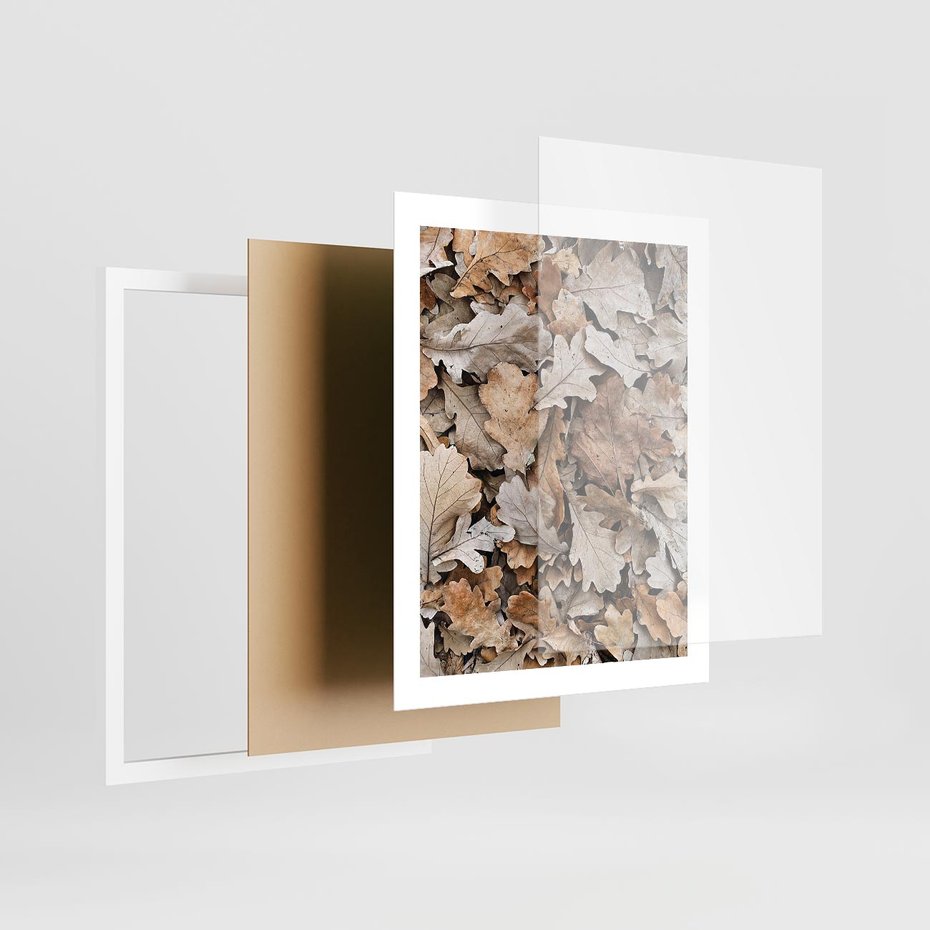 Plakat w ramie 40x50 - Nostalgiczny Pejzaż - suche liście, jesień - rama biała
