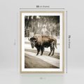 Plakat w ramie 50x70 - Spotkanie z Żubrem na Leśnej Drodze - żubr, las - rama drewno