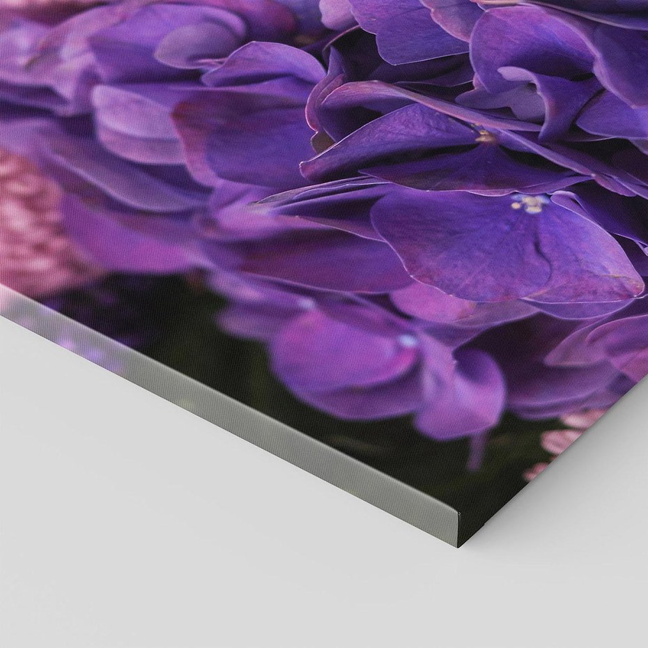 Obraz na płótnie 40x40 - Fioletowa hortensja - kwiaty, hortensja