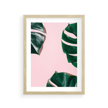Plakat w ramie 30x40 - Minimalizm Natury - minimalizm, liście monstery - rama drewno