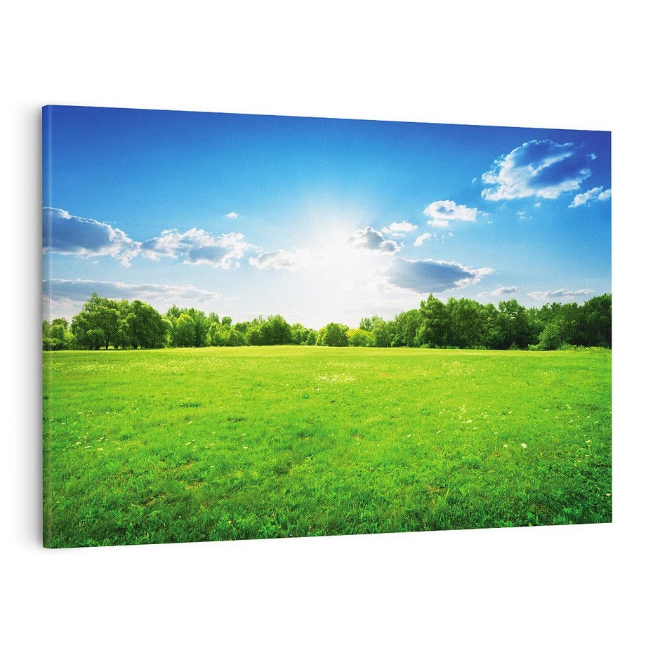 Obraz na płótnie 120x80 - Idylla na łące drzew - łąka, drzewa