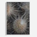 Obraz w ramie 70x100 - Ulotna Piękność Natury - makro, dmuchawce - rama biała