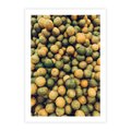 Plakat bez ramy 50x70 - Świeżość Cytrusów - cytryny, limonki