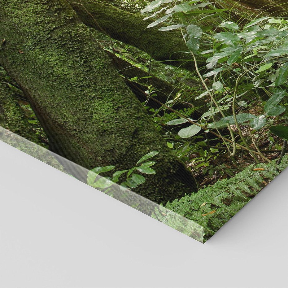 Obraz na płótnie 120x60 - Uroczysty Las Drzew - las, drzewa