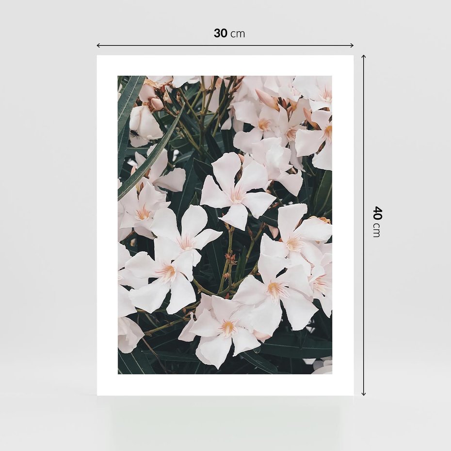 Plakat bez ramy 30x40 - Egzotyczna Uroda - białe kwiaty, tropikalne kwiaty