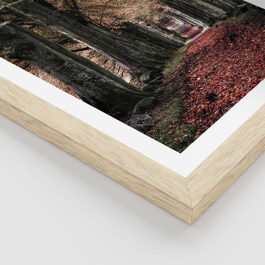 Plakat w ramie 30x40 - Spacer po Leśnej Drodze - ścieżka w lesie, jesień suche liście - rama drewno