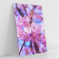 Obraz na płótnie 70x100 - magia kolorów - kwiat, kwiaty