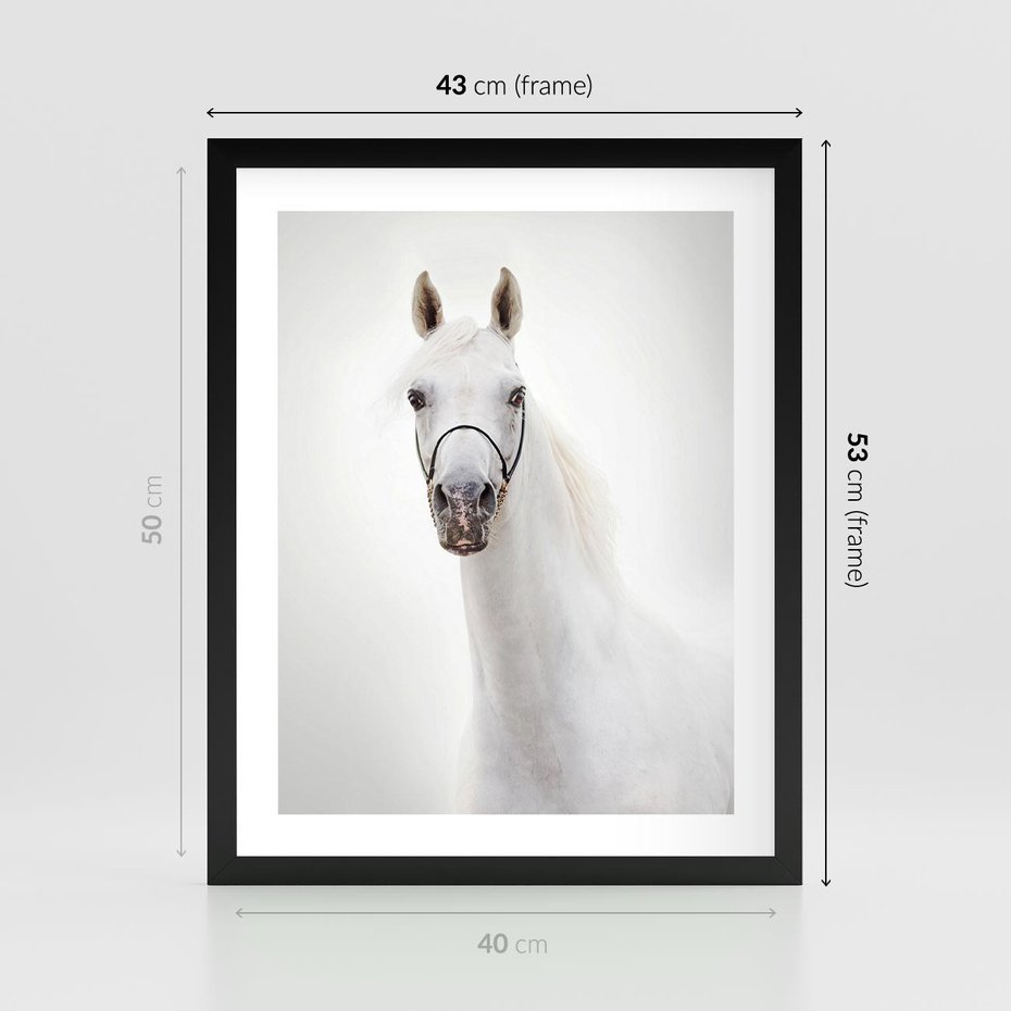 Plakat w ramie 40x50 - Elegancja białego konia - biały, koń - rama czarna
