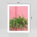 Plakat bez ramy 40x50 - Fotografia Rośliny z Różowym Tłem - fotografia, zielona roślina na tle różwj ściany