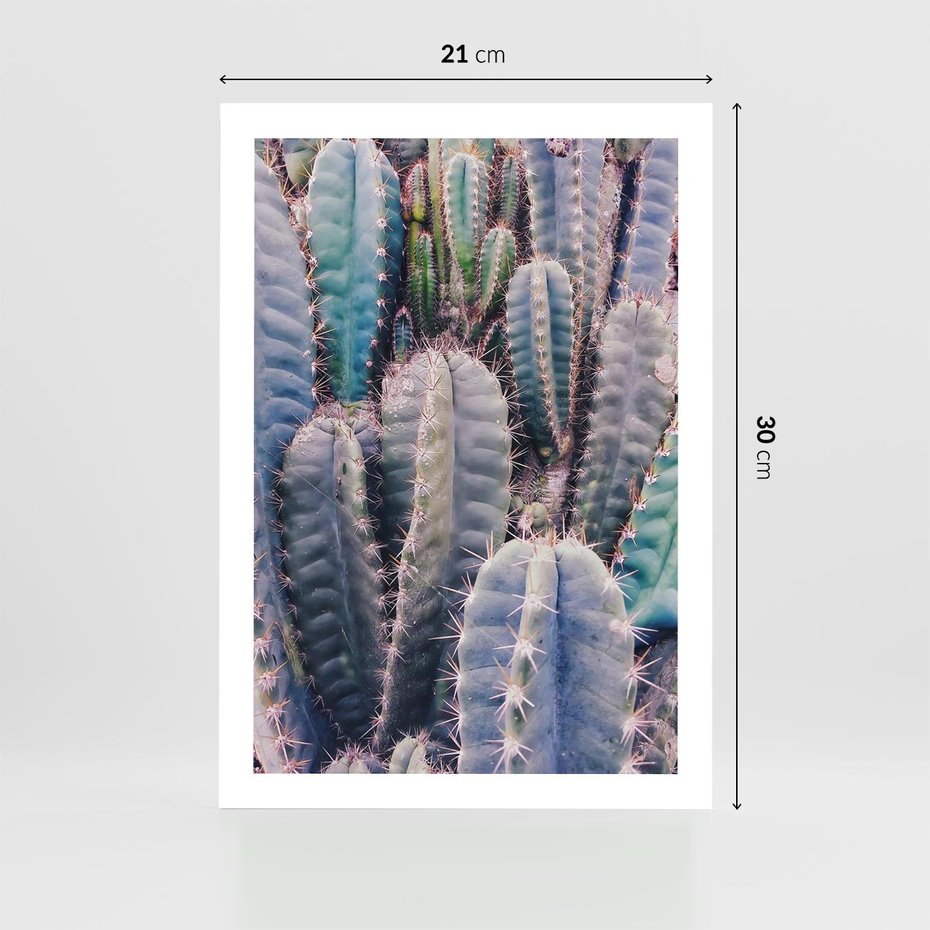 Plakat bez ramy 21x30 - Kaktusowy Raj - kaktusy, dużo kaktusów