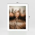 Plakat bez ramy 30x40 - Jarzębina w Pejzażu - jesień, gałązka