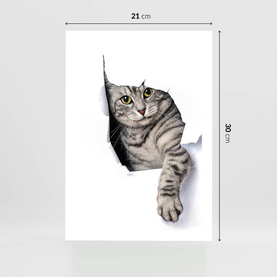 Plakat bez ramy 21x30 - Tajemniczy kot i jego świat - kot, dziura