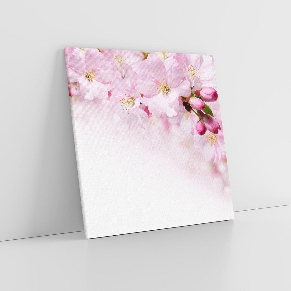 Obraz na płótnie 60x60 - Kwitnąca Wiśnia - kwiaty, kwitnącej