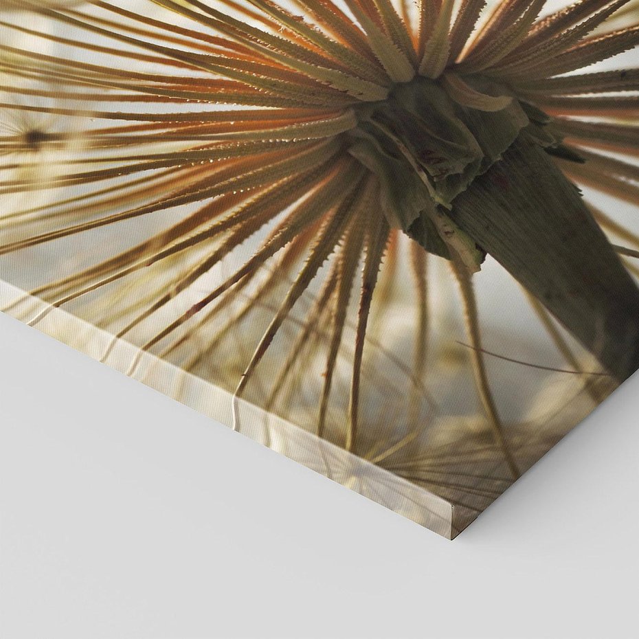 Obraz na płótnie 90x30 - Delikatny dmuchawiec w pełnym rozkwicie - dmuchawiec, kwiat