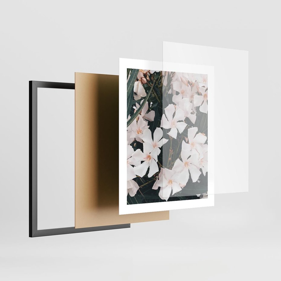 Plakat w ramie 40x50 - Egzotyczna Uroda - białe kwiaty, tropikalne kwiaty - rama czarna