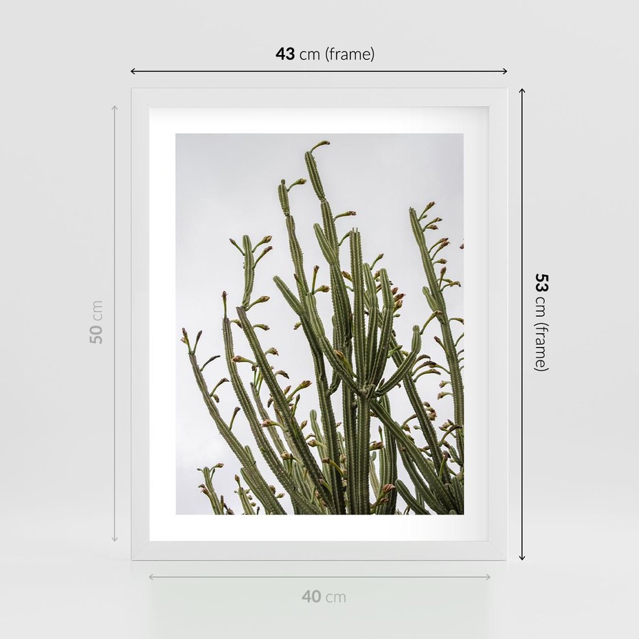 Plakat w ramie 40x50 - Ekskluzywna Roślinność - kaktusy, liście - rama biała