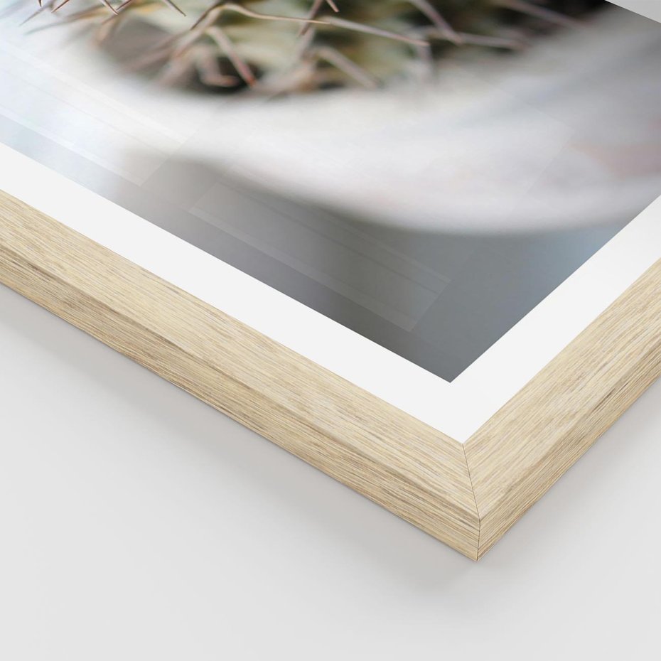 Plakat w ramie 40x50 - Kaktus w Zbliżeniu - kaktus, igły - rama drewno