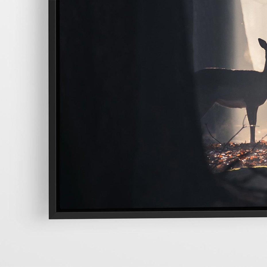Obraz w ramie 50x50 - Sarnie Skoki - zdjęcie, klimatyczny las - rama czarna