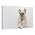 Obraz na płótnie 100x70 - Wernisaż psiego wdzięku - pies, piesek
