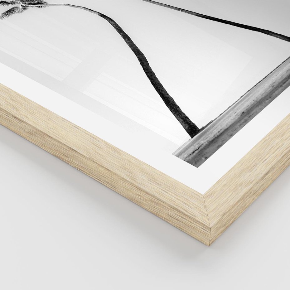 Plakat w ramie 50x70 - Samotne Palmy - czarno biała fotografia, dwie samotne palmy - rama drewno