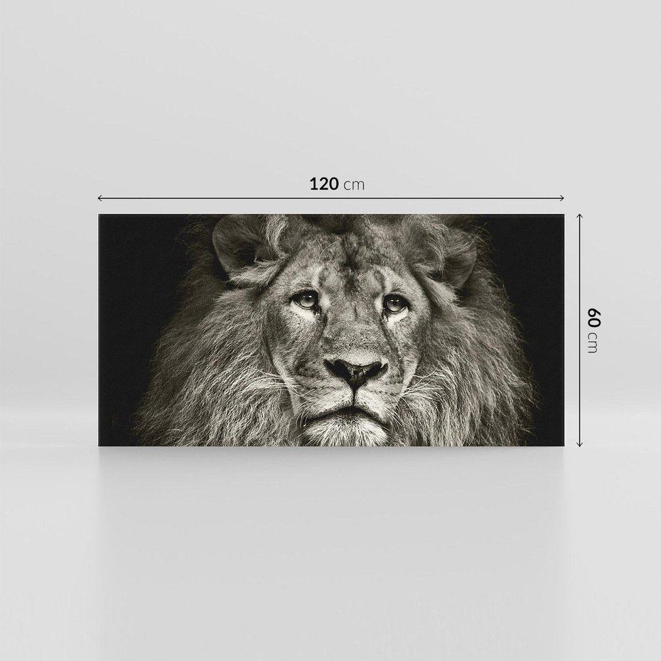 Obraz na płótnie 120x60 - Moc lewego spojrzenia - lew, czarno