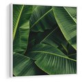 Obraz w ramie 50x50 - Zaklęta roślinna ekspresja - liście bananowca, gęsto ułożone - rama biała