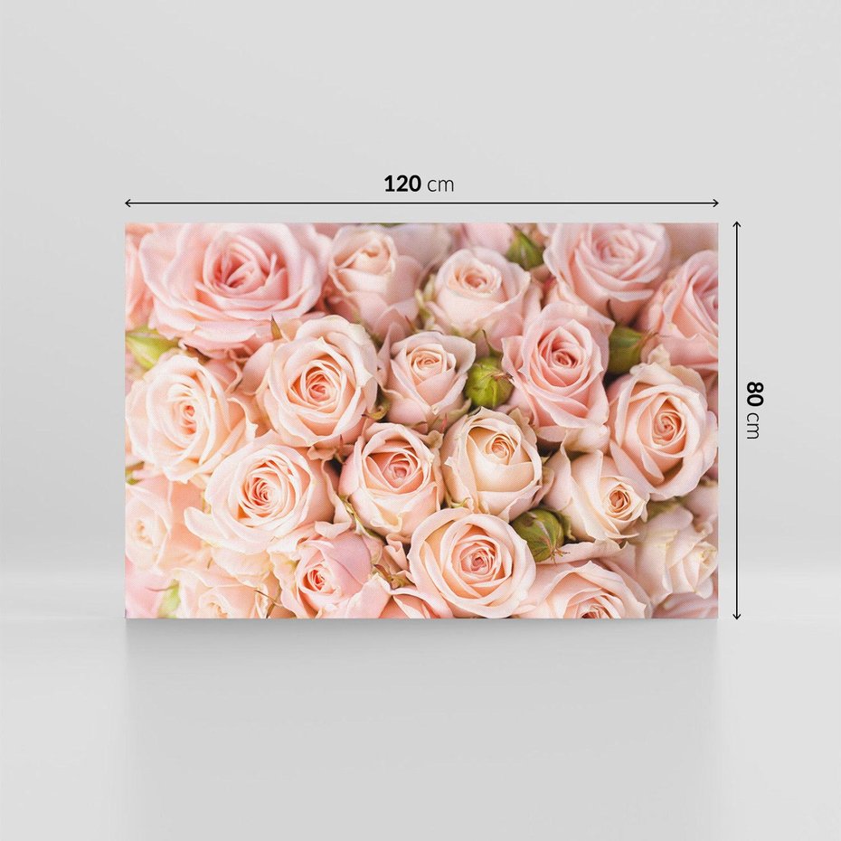 Obraz na płótnie 120x80 - Delikatność róż - piękno natury - róże, kwiaty