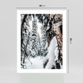 Plakat bez ramy 40x50 - Drzewa pod Śniegiem - zima las, drzewa pod śniegiem