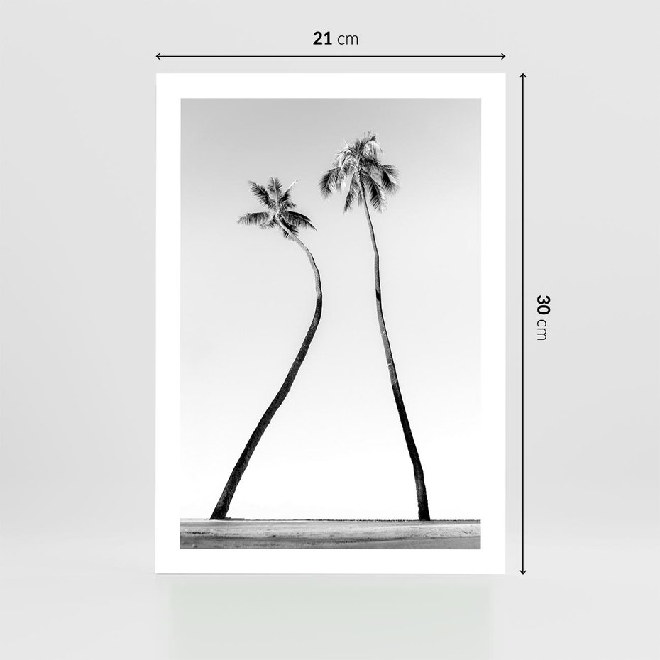 Plakat bez ramy 21x30 - Samotne Palmy - czarno biała fotografia, dwie samotne palmy