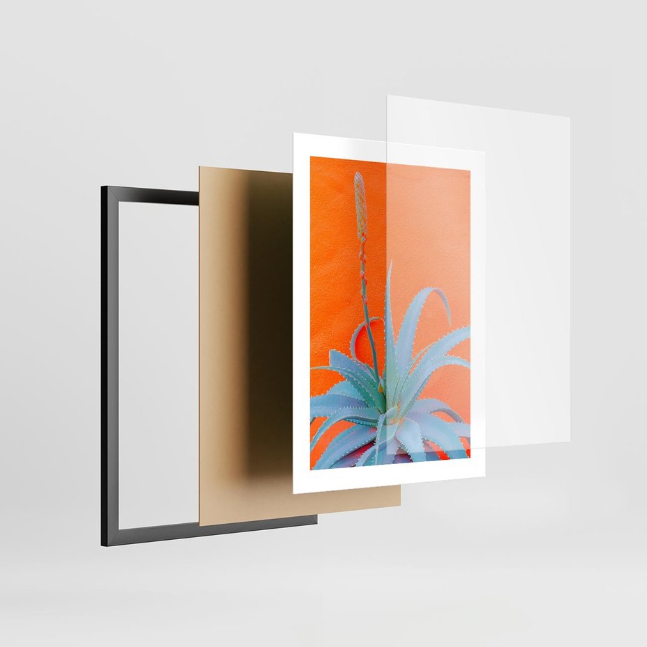 Plakat w ramie 30x40 - Naturalna Harmonia - kaktusy, liście - rama czarna