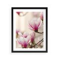 Plakat w ramie 40x50 - Urok Magnolii - magnolie, kwiaty - rama czarna
