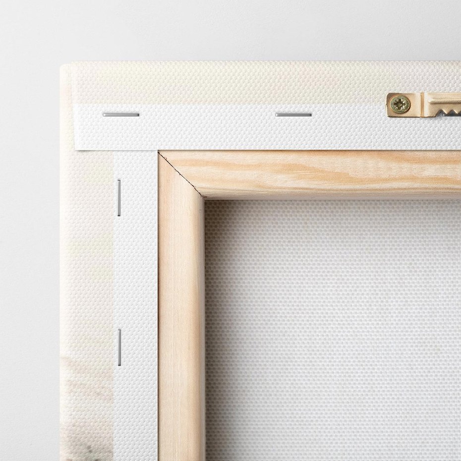 Obraz na płótnie 70x50 - Urok plażowej muszelki - fotografia, muszla na plaży