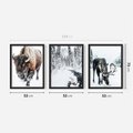 Zestaw obrazy w ramie 50x70 galeria - Bizon, łoś, zima, las - rama czarna