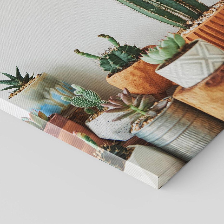 Obraz na płótnie 50x70 - Naturalna Harmonia - kaktusy, liście