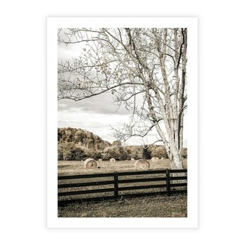 Plakat bez ramy 21x30 - Drzewa i Snopki Siana - farma, drzewa