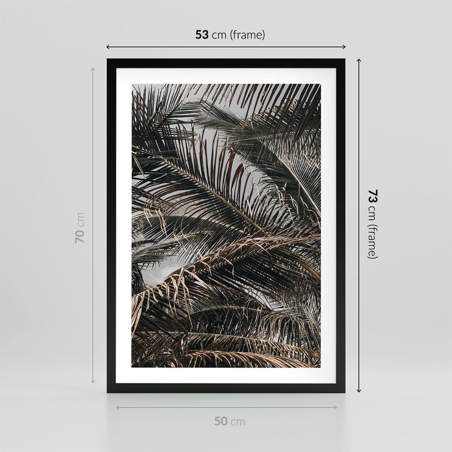 Plakat w ramie 50x70 - Liściaste Palmy - palmy, drzewa palmowe - rama czarna