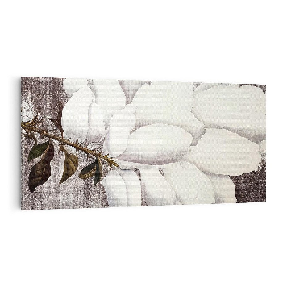 Obraz na płótnie 100x50 - Tekstura Kwiatu - białe kwiaty, duży kwiat
